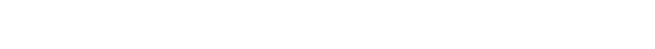 公司概述