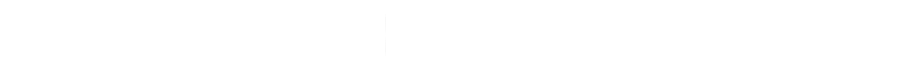 公司概述
