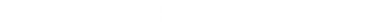 公司概述