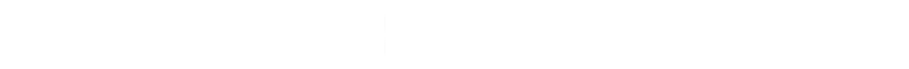 公司概述