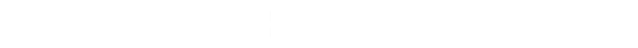 公司概述