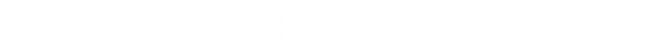 公司概述