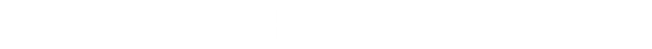 公司概述